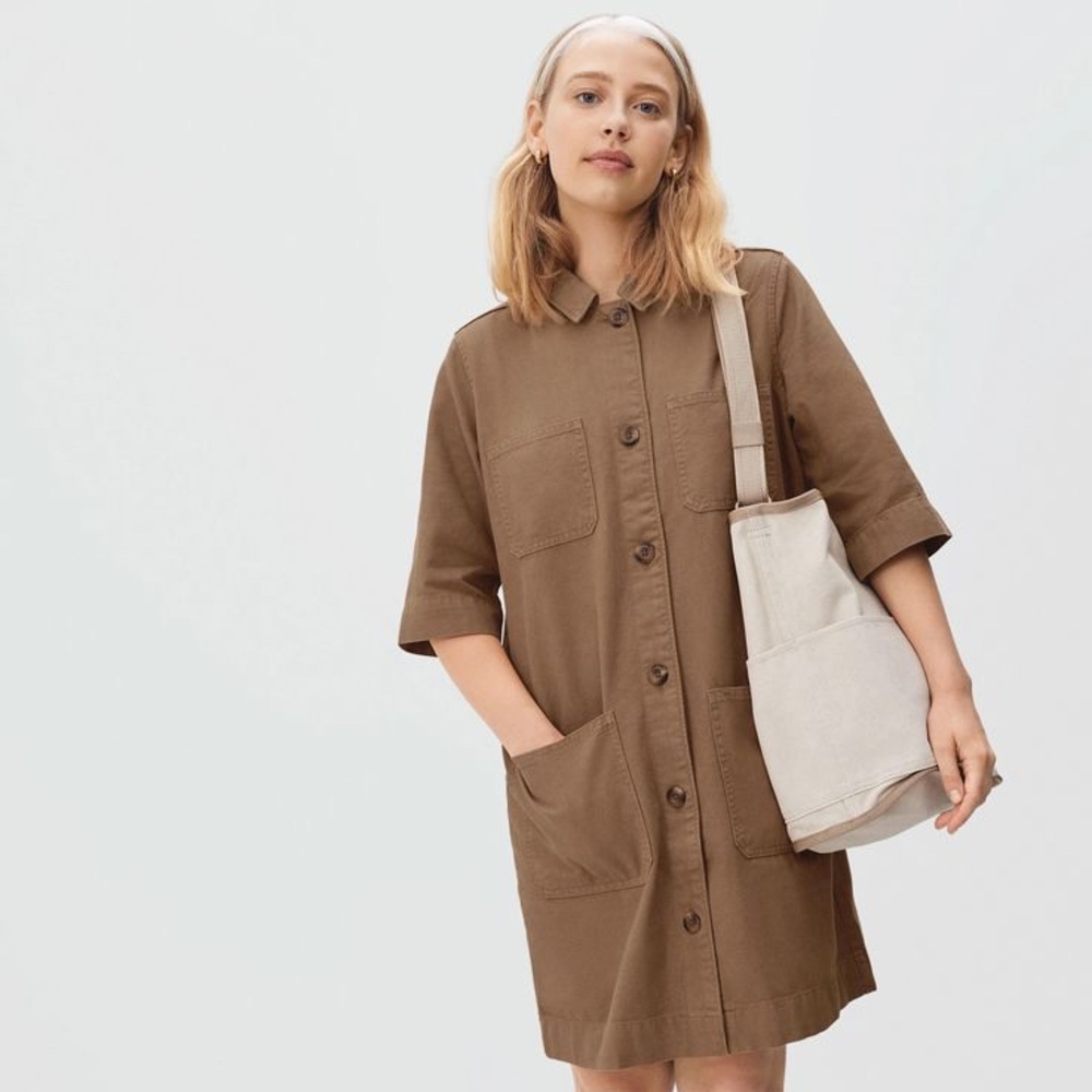 Everlane the Chore mini dress